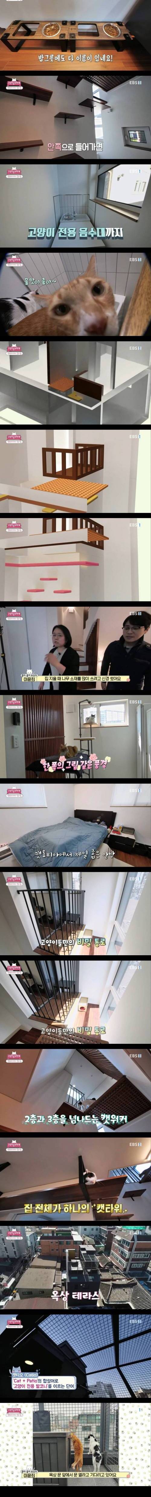 [스압] 고양이 키우는 집사들의 꿈의집.jpg