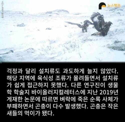 벼락 맞아 죽은 순록 323마리를 4년간 방치한 결과