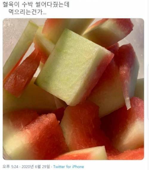 수박 썰어다줬는데...
