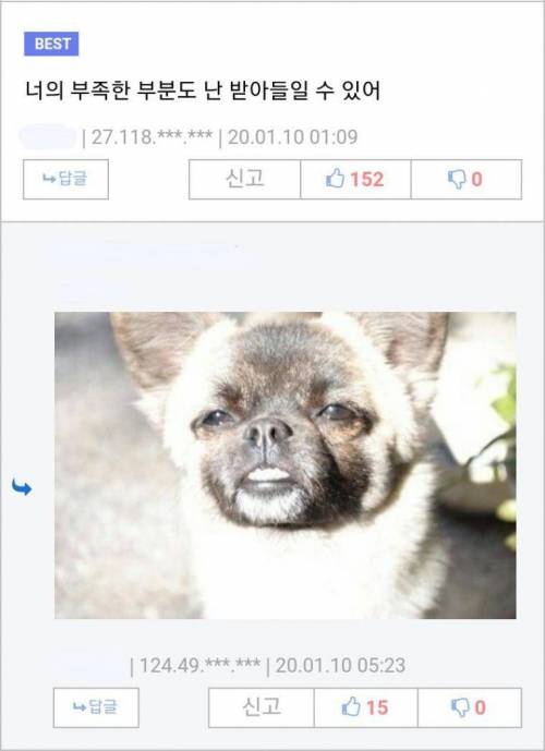 천사와 악마가 공존하는 게시물.jpg
