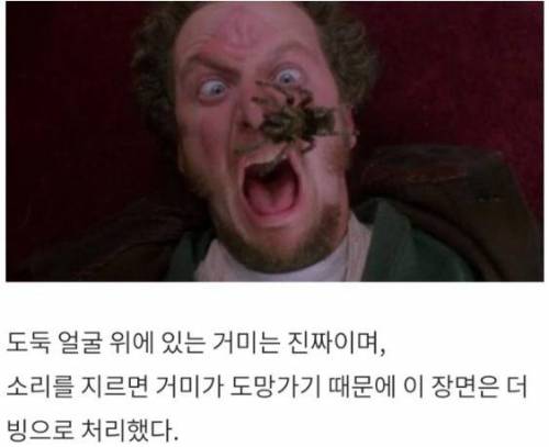 나홀로 집에 속 뒷이야기