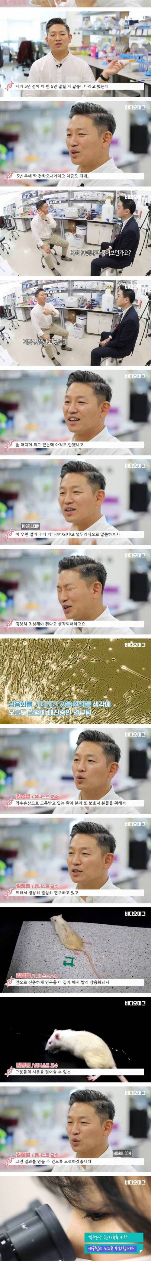 [스압] 하반신 마비 생쥐를 다시 걷게 만든 김정범 교수 연구팀.jpg