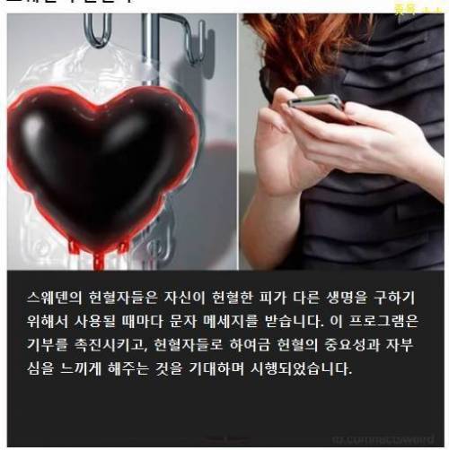 스웨덴 헌혈.jpg