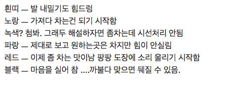 태권도 띠 비례 실력.jpg