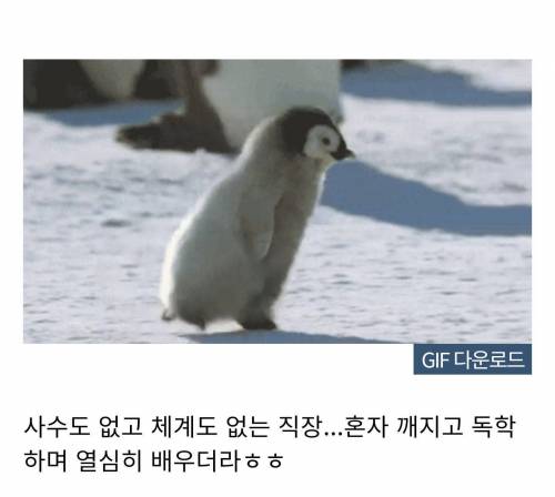 [스압] 저 자리가 중요한데 중요하지않다