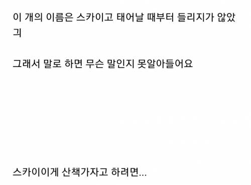 수화로 소통하는 멍멍이 주인.mp4