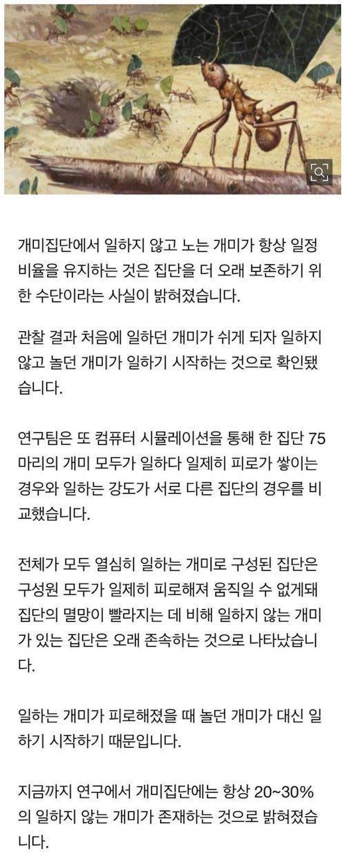 일하지 않고 노는 개미 정체.jpg