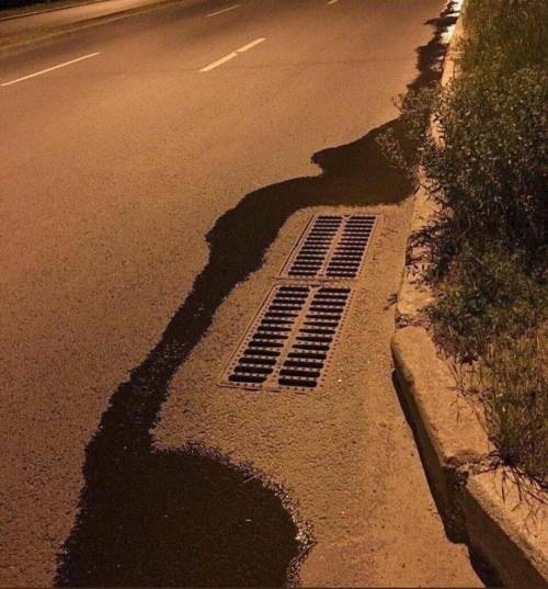 넌 할줄 아는게 뭐냐.jpg