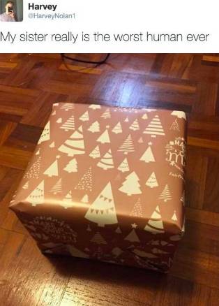 누나가 준비한 깜짝 선물.jpg