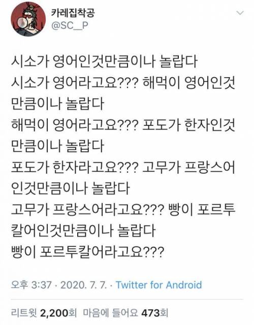 시소가 영어라고?