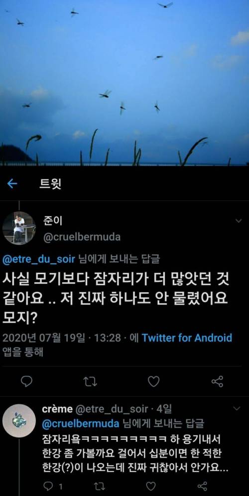 그저..곤충계의 빛 그 자체..