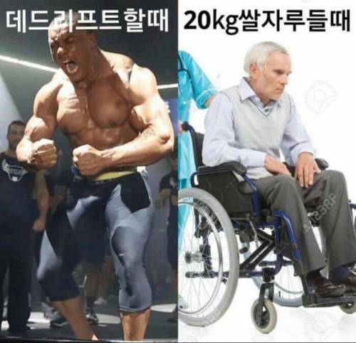 헬스하는 사람들 특징