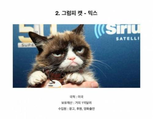 전 세계 부자 동물 top5.jpg