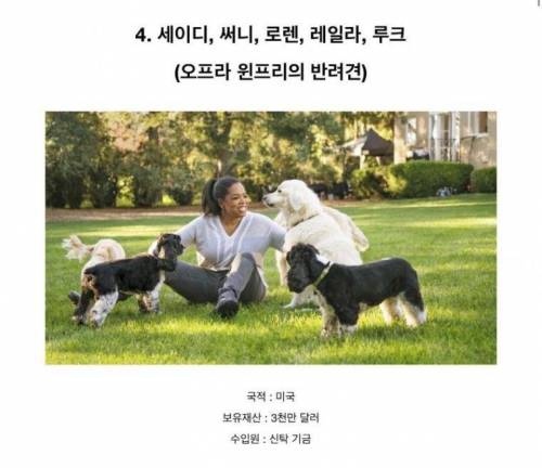 전 세계 부자 동물 top5.jpg