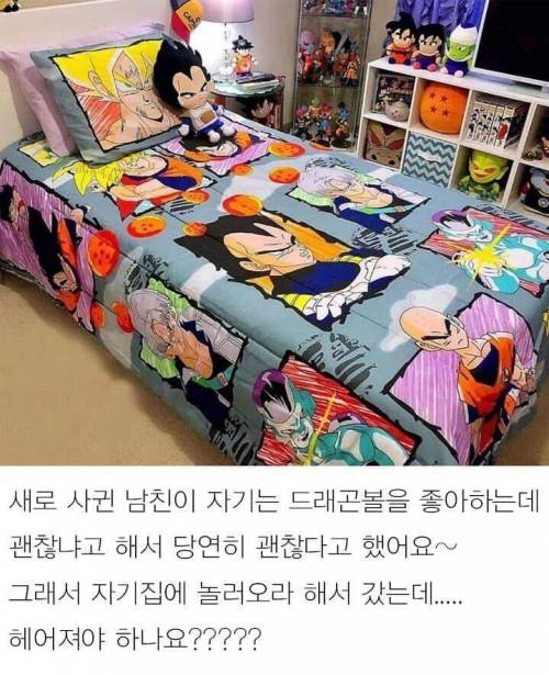 드래곤볼 덕후 남친.jpg