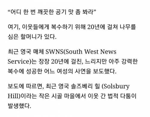 복수를 위해 20년간 존버한 할머니