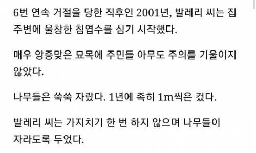 복수를 위해 20년간 존버한 할머니