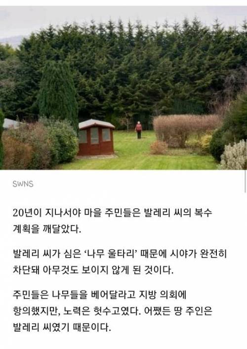 복수를 위해 20년간 존버한 할머니