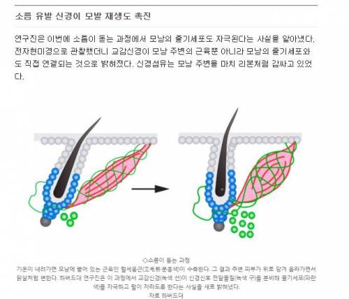 공포영화에 소름 돋으면 머리카락 납니다.jpg