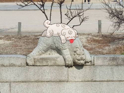 [스압] 경복궁에 사는 메롱해치.jpg