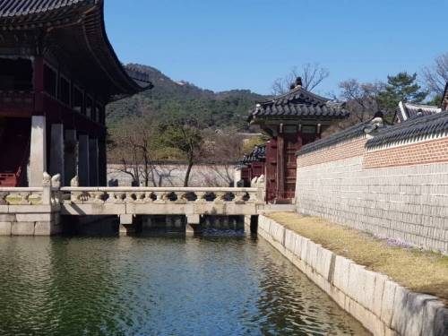 [스압] 경복궁에 사는 메롱해치.jpg
