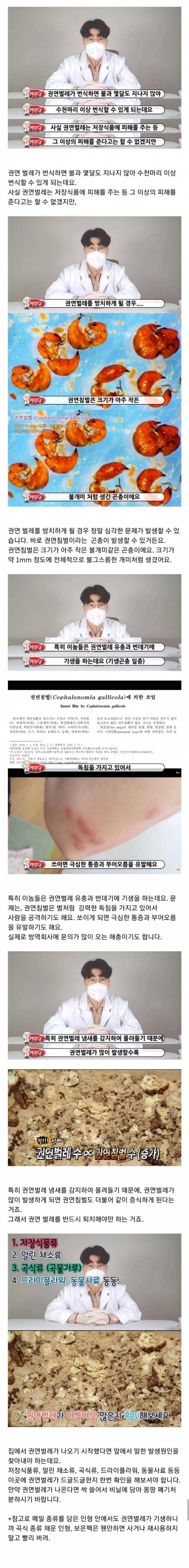 권연벌레를 퇴치해야하는 이유