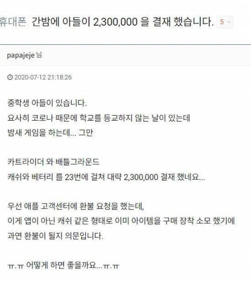 간밤에 아들이 230만원을 결제했습니다.jpg