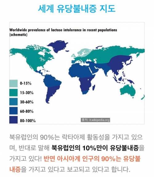 세계 유당불내증 지도.jpg