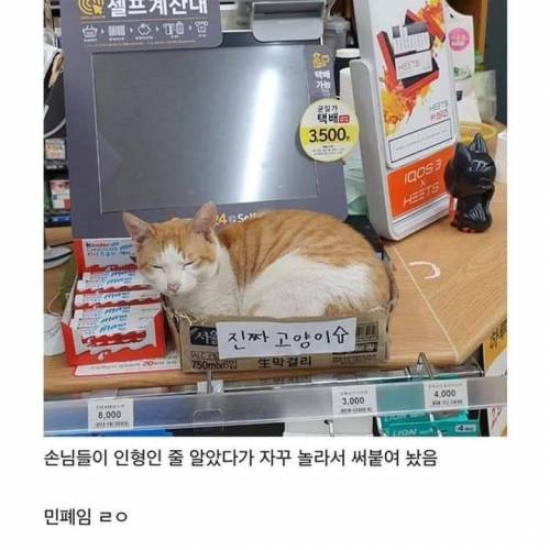 진짜 거든요!.jpg