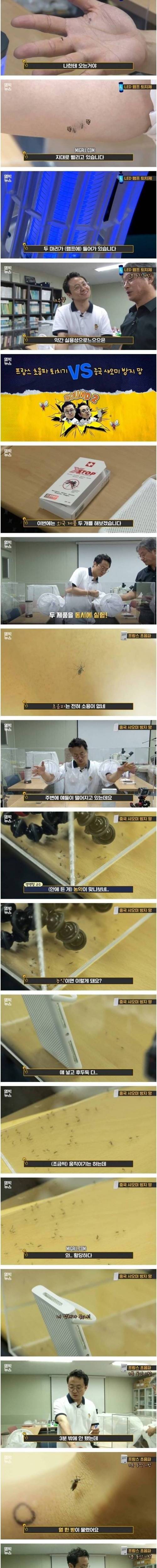 [스압] 모기 퇴치제 실험 결과.jpg
