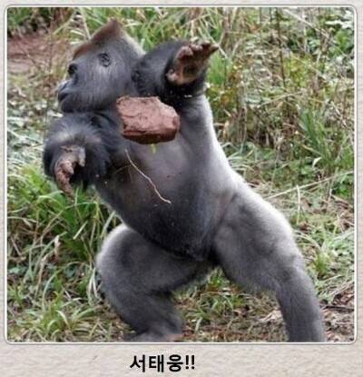 [스압] 제목학원 시리즈.jpg