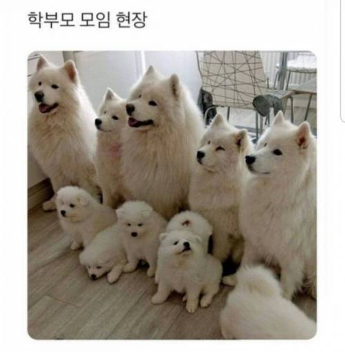 학부모 모임 현장.jpg