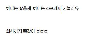 만든 사람이 궁금한 두 제품 .jpg