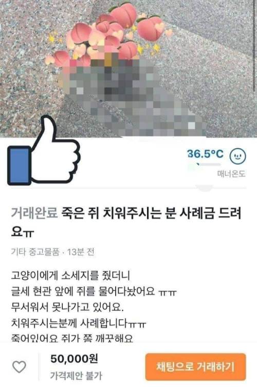 고양이 밥주던 당근시장 이용자.jpg