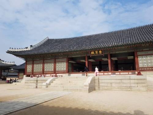 [스압] 경복궁에 사는 메롱해치.jpg
