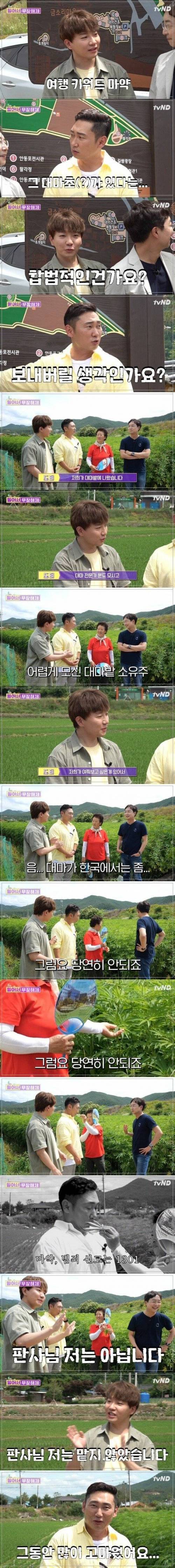 자연인 대마 논란.jpg