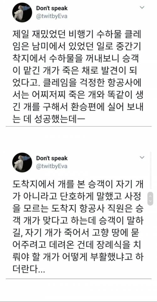 비행기 수하물 클레임 갑.jpg