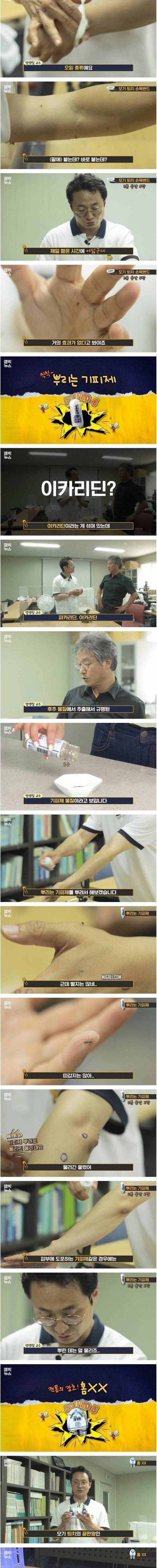 [스압] 모기 퇴치제 실험 결과.jpg