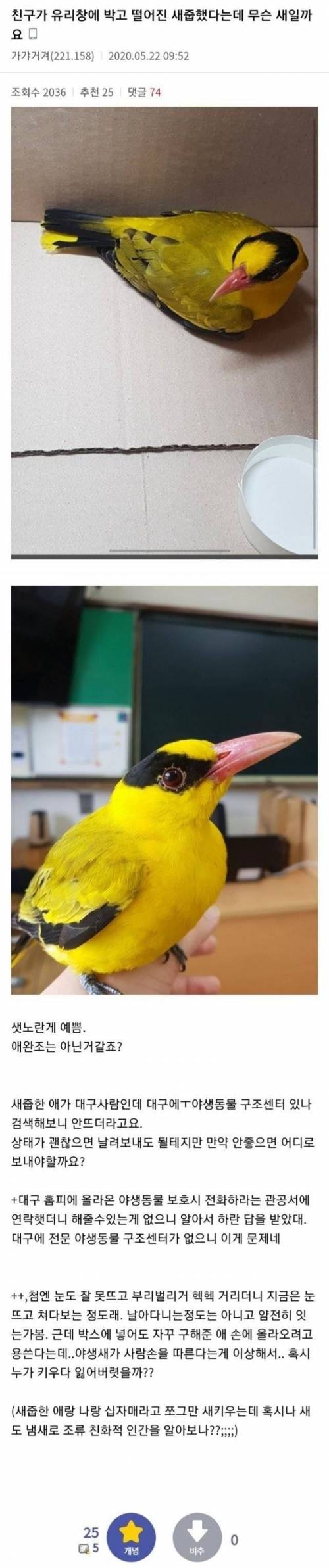 새줍한 디씨인.jpg
