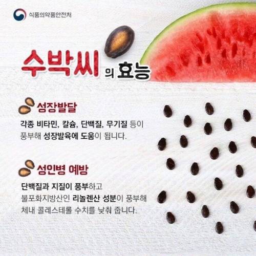 사람들이 잘 모르는 수박의 비밀.jpg