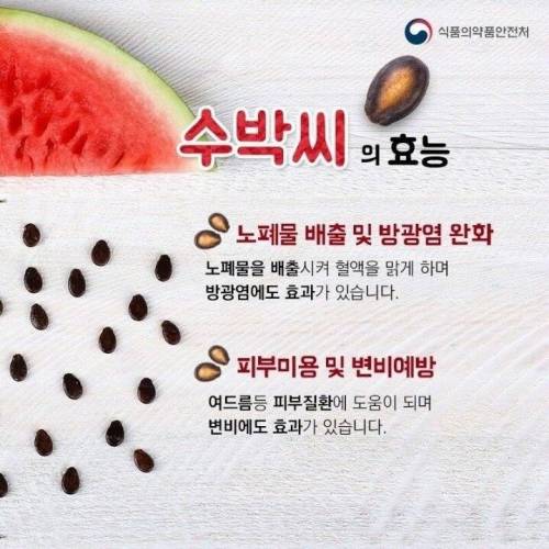 사람들이 잘 모르는 수박의 비밀.jpg