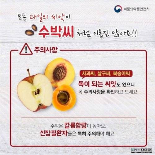 사람들이 잘 모르는 수박의 비밀.jpg