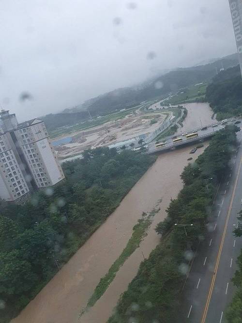 대전 상황.jpg