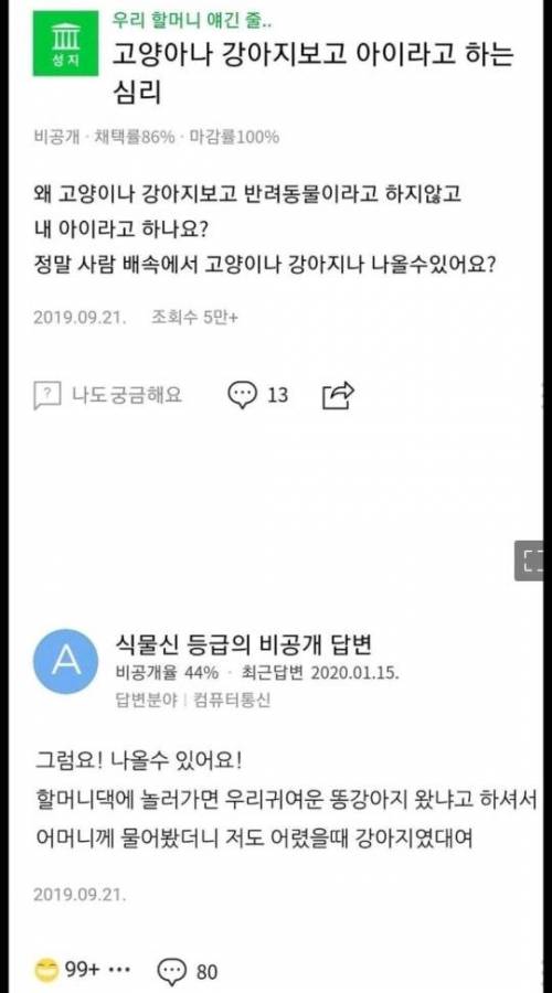 왜 고양이나 강아지한테 내 아이라고 하는거에요??