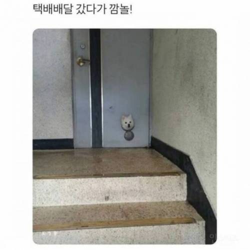택배 배달갔다가 놀라신 기사아저씨.jpg