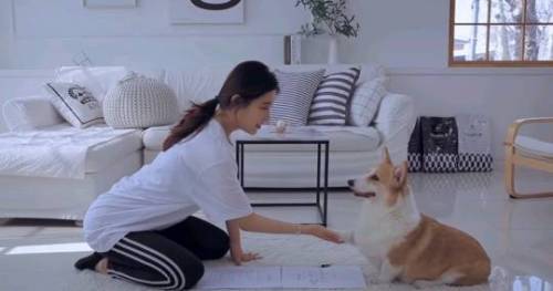 강아지랑 동거계약서를 쓴다면?