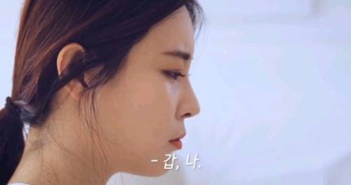 강아지랑 동거계약서를 쓴다면?