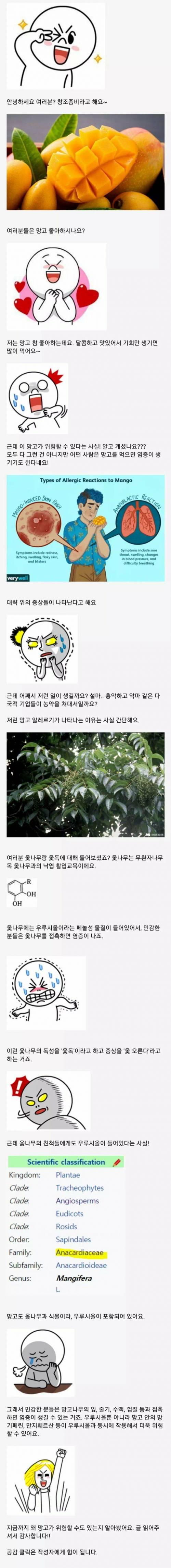 망고가 위험할 수도 있는 이유.jpg