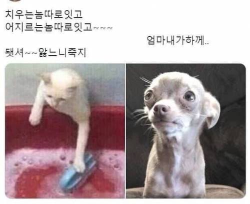 어머니가 자식들방 치울때 단골멘트.jpg