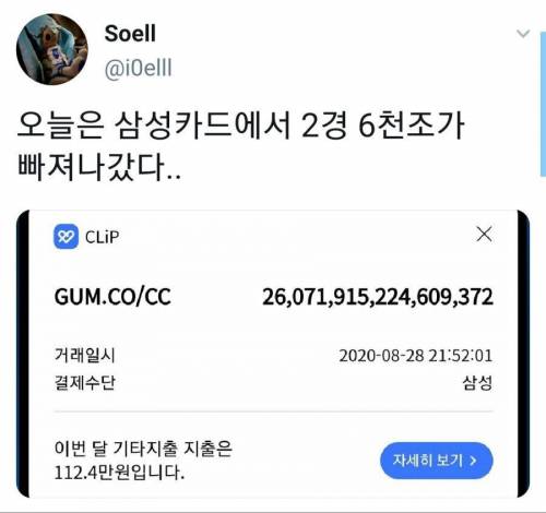 이번달 카드를 좀 과하게 썼더니...